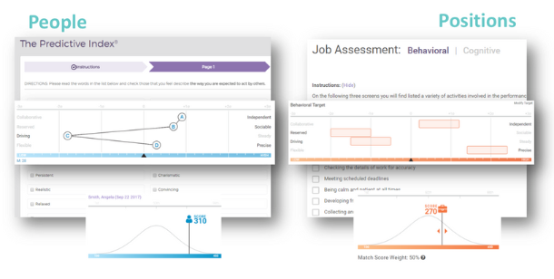 PI job assessment example